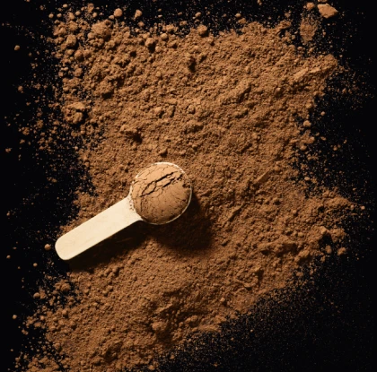 Hojicha BIO 60g